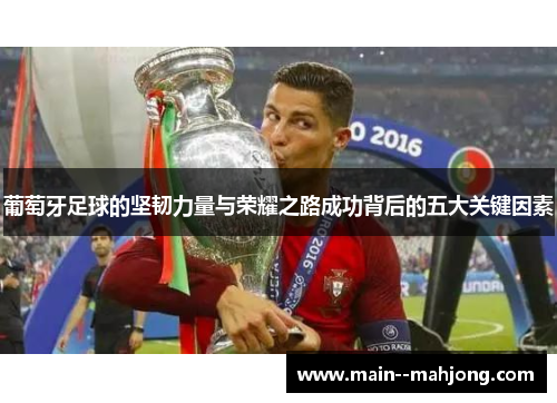 葡萄牙足球的坚韧力量与荣耀之路成功背后的五大关键因素