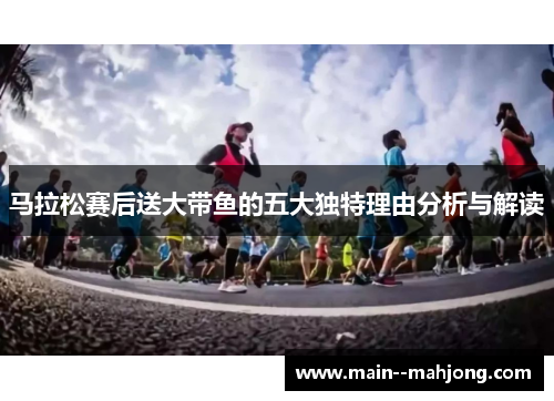 马拉松赛后送大带鱼的五大独特理由分析与解读